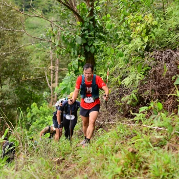Runner Photo 103398