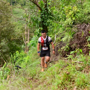 Runner Photo 103443