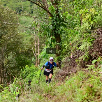 Runner Photo 103451