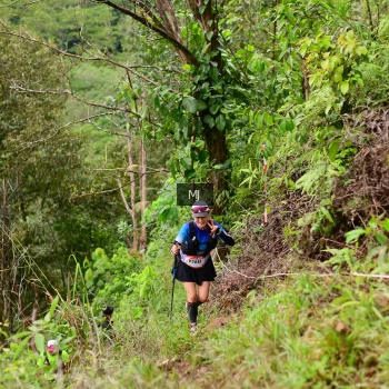 Runner Photo 103455