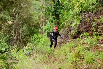 Runner Photo 103494