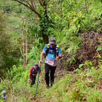 Runner Photo 103516