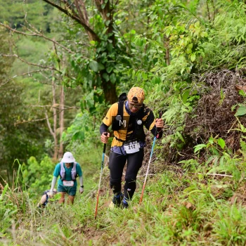 Runner Photo 103559