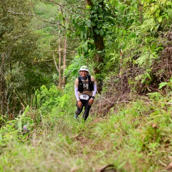 Runner Photo 103582