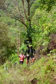 Runner Photo 103615