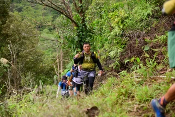Runner Photo 103696
