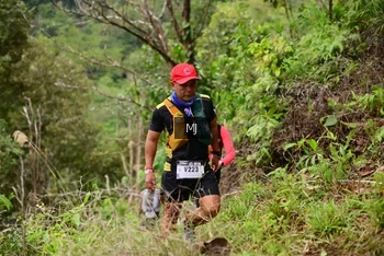 Runner Photo 103738
