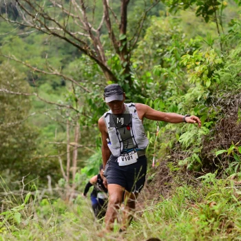 Runner Photo 103752