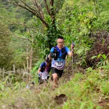 Runner Photo 103766