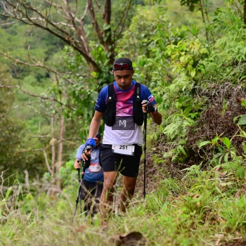 Runner Photo 103772