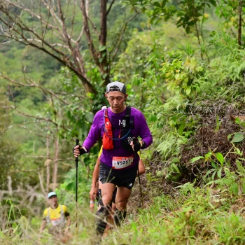 Runner Photo 103839