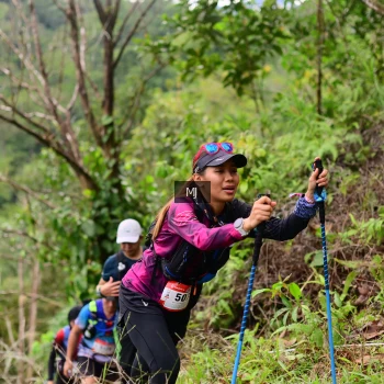 Runner Photo 103890