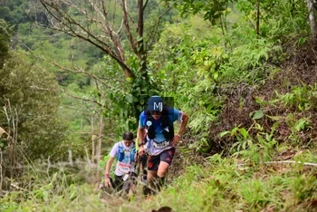 Runner Photo 103919