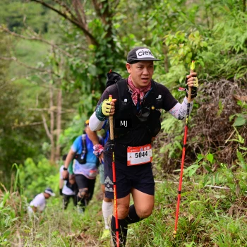 Runner Photo 104023
