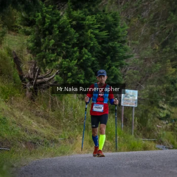 Runner Photo 104027
