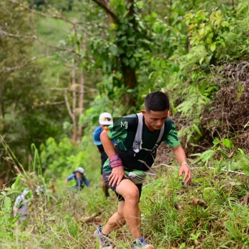 Runner Photo 104060