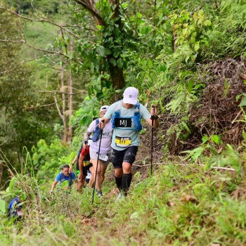 Runner Photo 104070