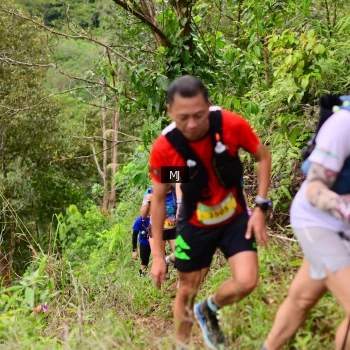 Runner Photo 104080