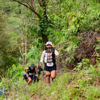 Runner Photo 104226