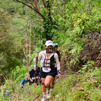 Runner Photo 104230