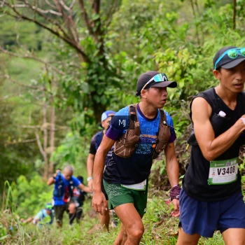 Runner Photo 104239