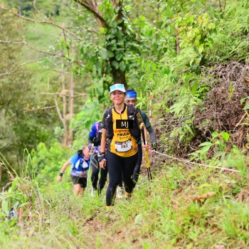 Runner Photo 104247