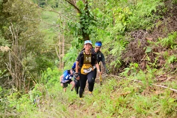 Runner Photo 104250