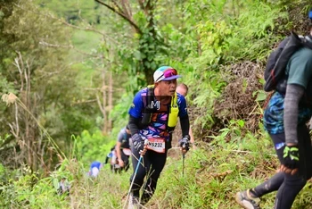 Runner Photo 104263