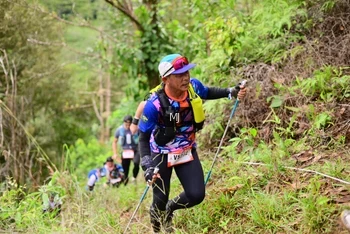 Runner Photo 104267