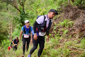 Runner Photo 104297