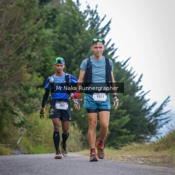 Runner Photo 104303