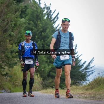 Runner Photo 104312