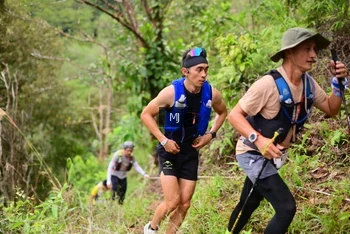 Runner Photo 104364