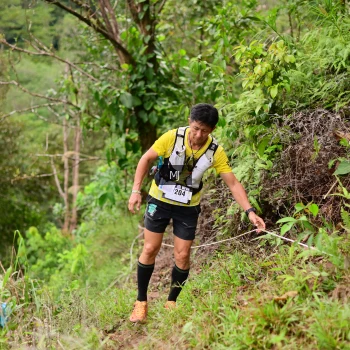 Runner Photo 104380