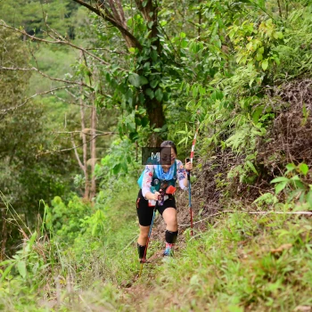 Runner Photo 104385