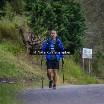Runner Photo 104399