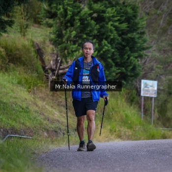 Runner Photo 104407