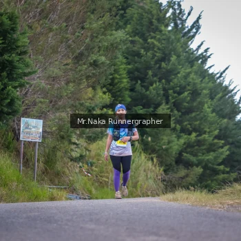 Runner Photo 104436
