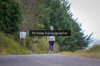 Runner Photo 104447