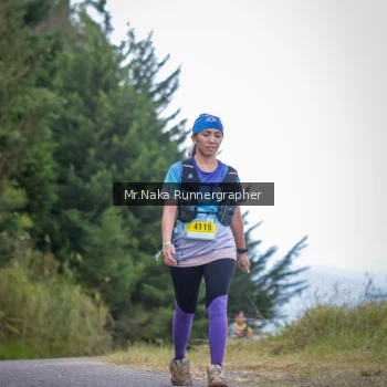 Runner Photo 104485