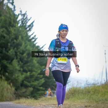 Runner Photo 104493