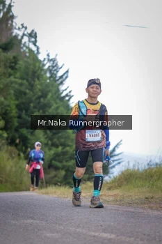 Runner Photo 104535