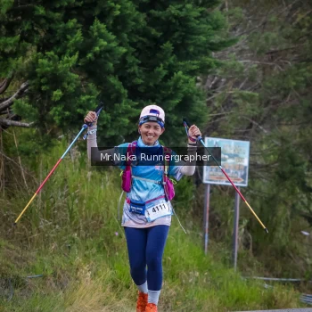 Runner Photo 104588