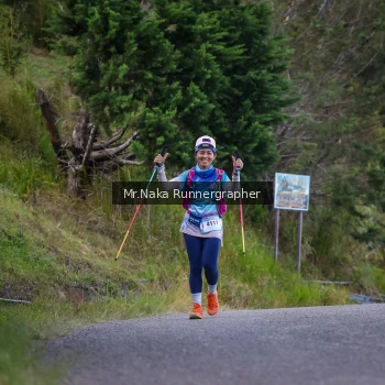 Runner Photo 104591