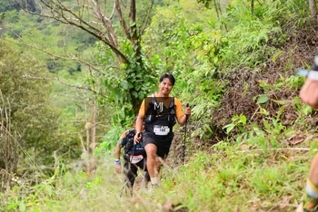 Runner Photo 104677