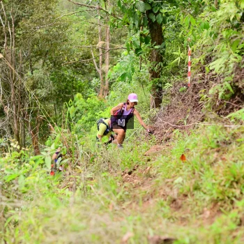 Runner Photo 104691