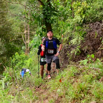 Runner Photo 104709