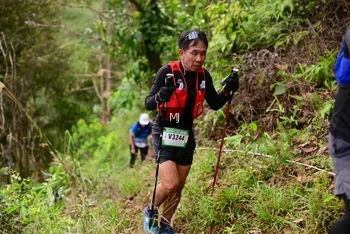 Runner Photo 104717