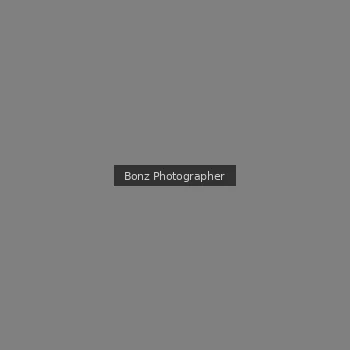 Runner Photo 104810