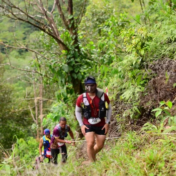 Runner Photo 105037